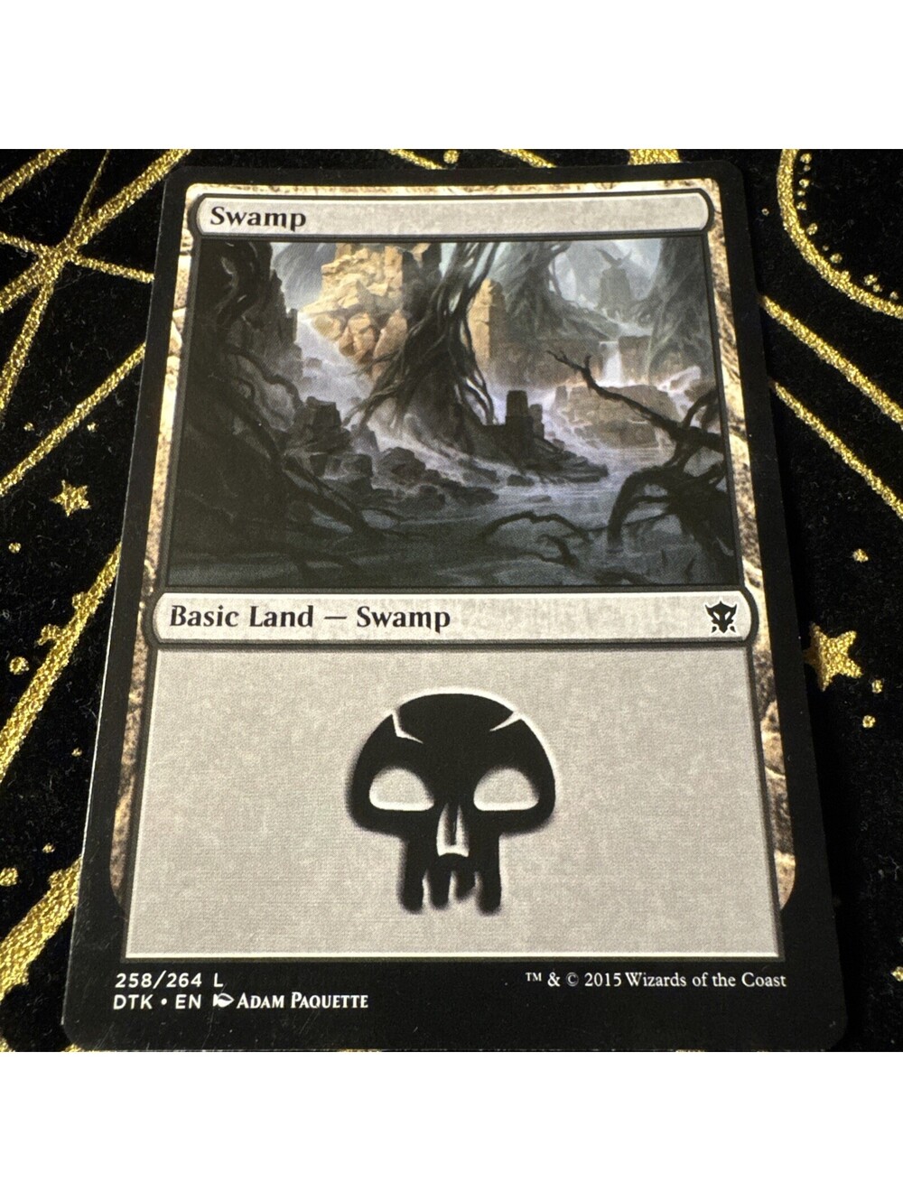 SWAMP #291 MTG Shadows over Innistrad